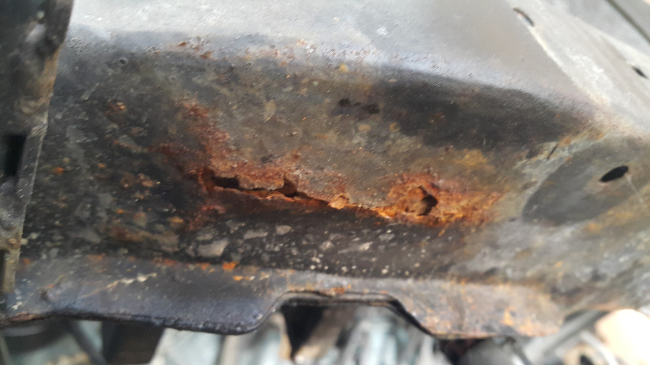 20210713_112425 (Large)