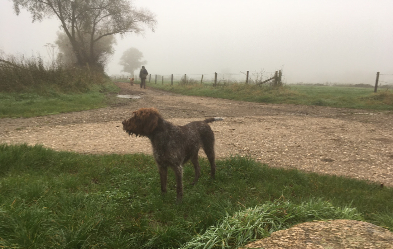 2024-01-11 Claire hondje 4 IMG_4359 (002)