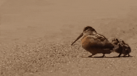 thats-a-wow-right-there-05.gif