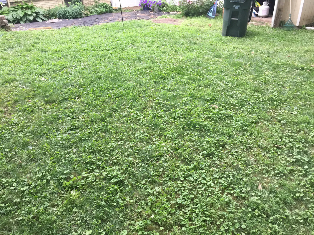 F865A48F-97B8-44CC-9B9E-5C32DA16CE50