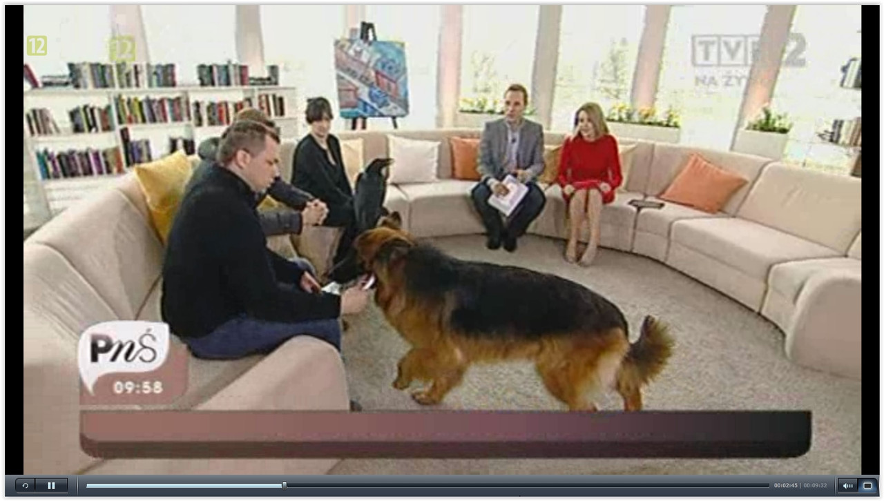 Screen Shot 07-15-15 at 01.00 PM 007