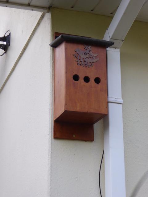 B95FEB00-4A85-459B-8124-08DF976BA9FD