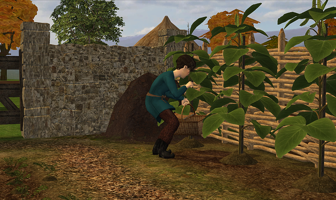 Greenshot_2025-07-25_21_32_09