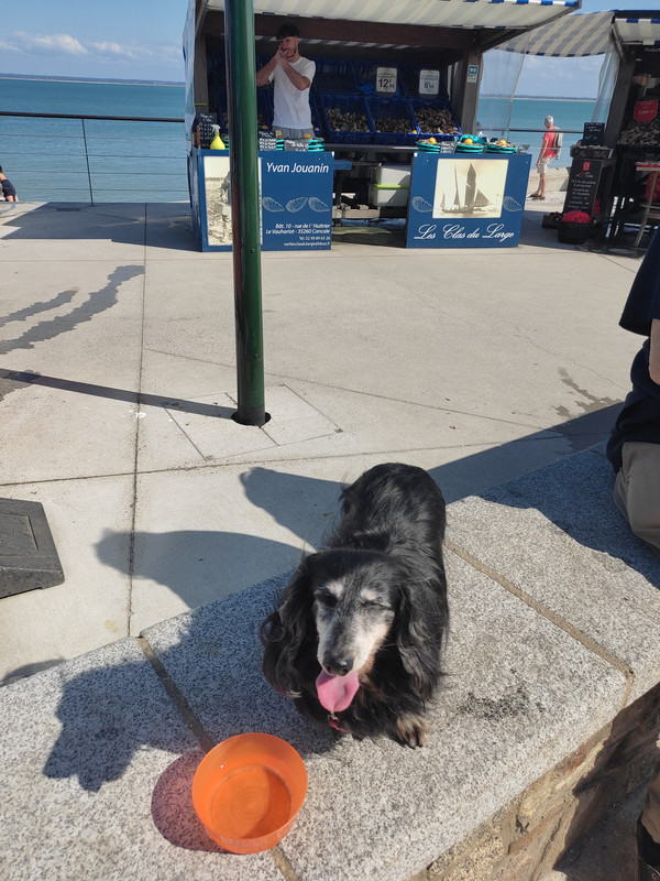 [Image: IMG-20230717-173727.jpg]