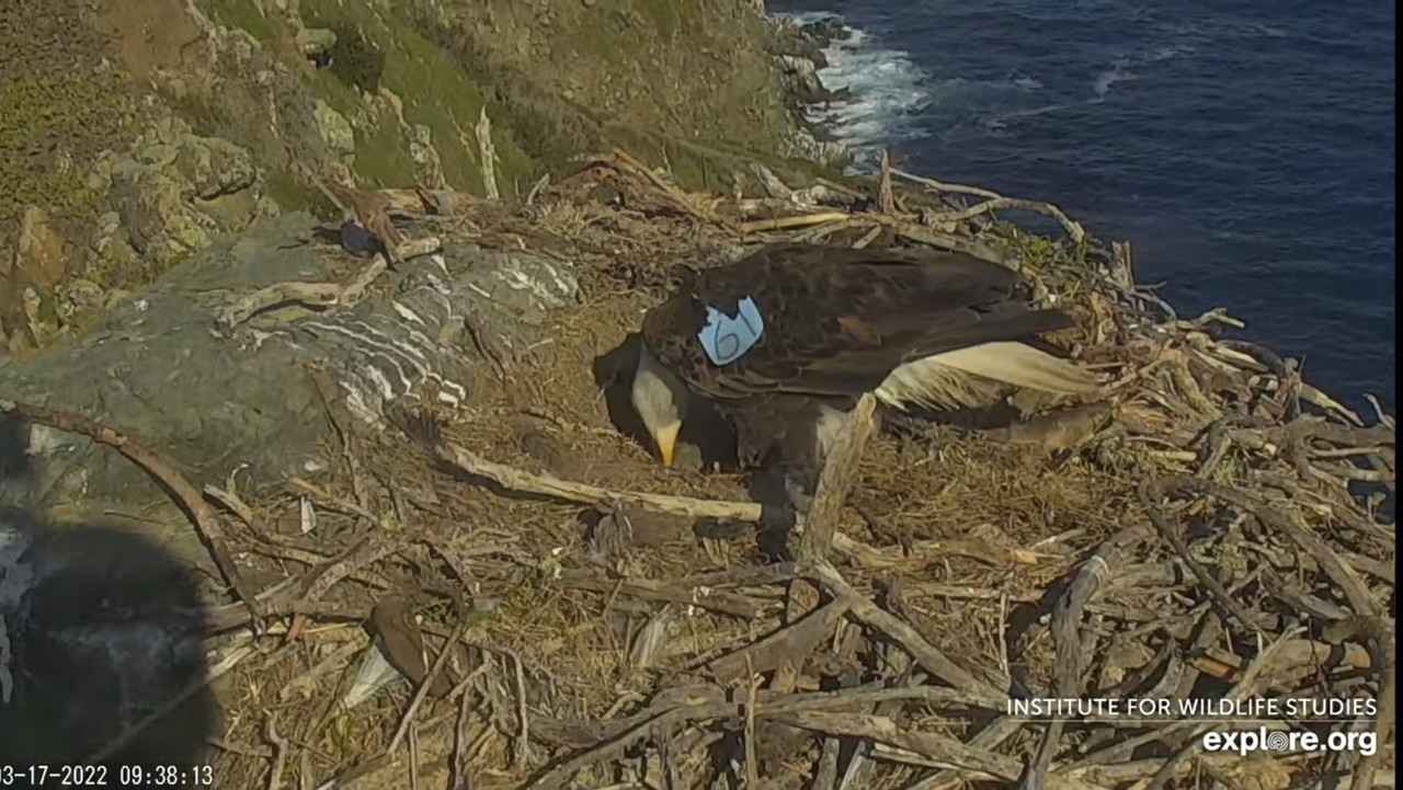 91AF144D-2AA5-4C51-B690-5FBEBF52CD8E