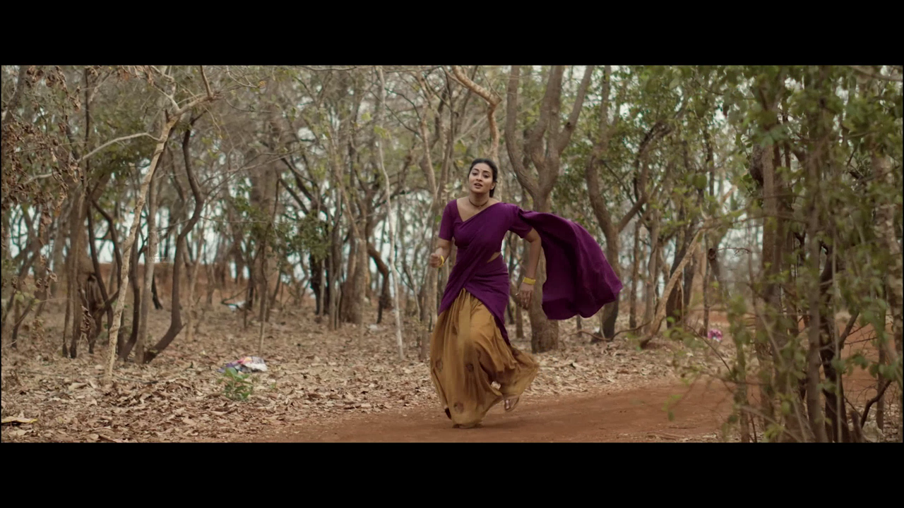 vlcsnap 2025 11 02 14h00m11s928