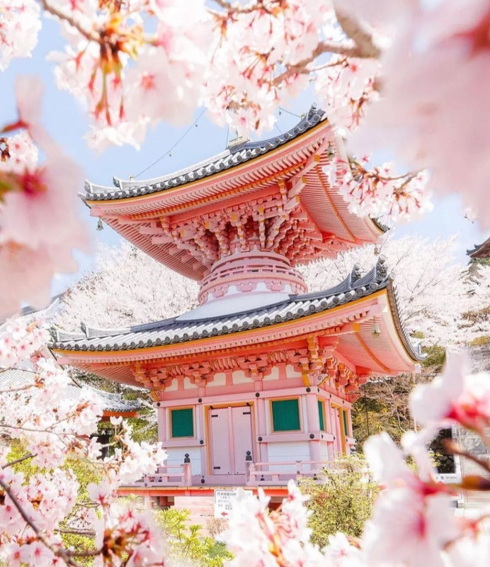 Screenshot_20240501_155154_Threads