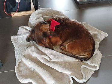 [Image: 244374575-3039041189708242-5795335048350317344-n.jpg]