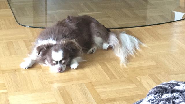 Bild