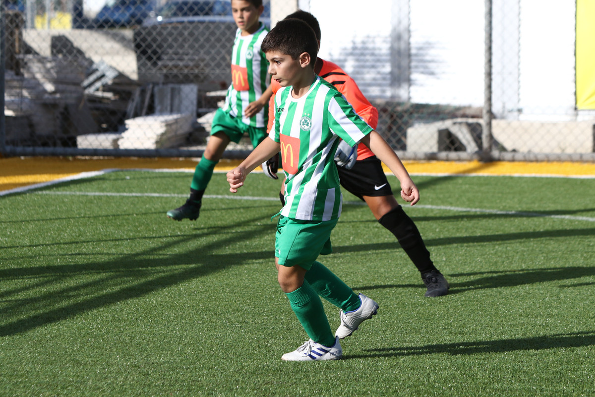 VIK_0286