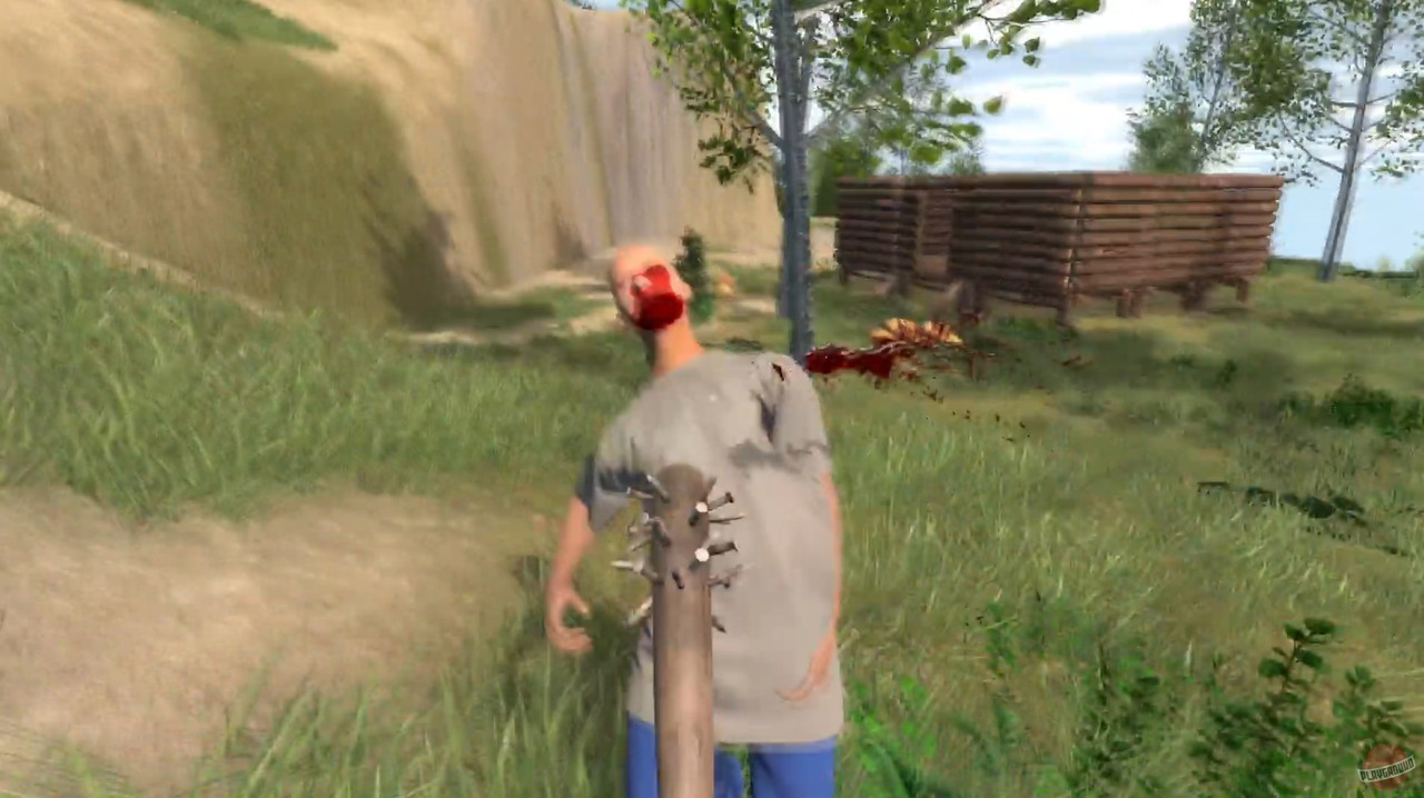 endgame survival