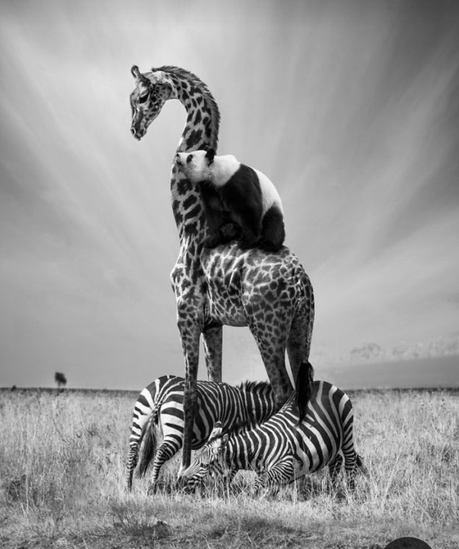 Screenshot_20231201_230732_Pinterest