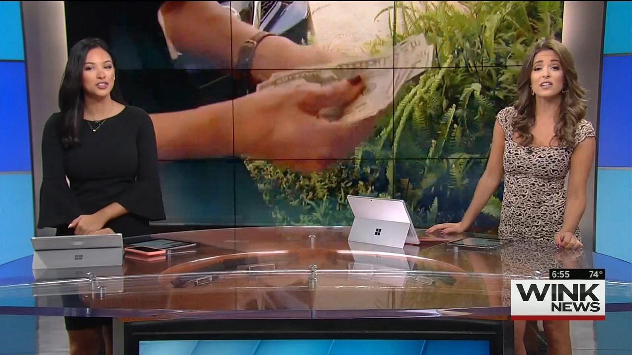 10.24 - 11.00.00 - WINK News This Morning..ts_snapshot_00.56.27.857