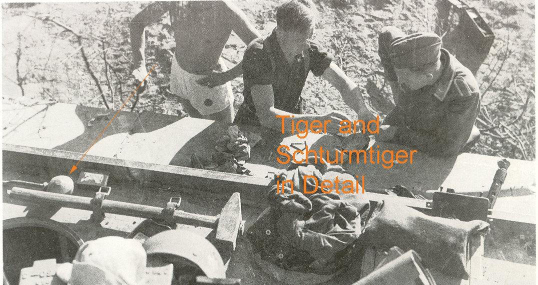 т tiger i sturm det0001