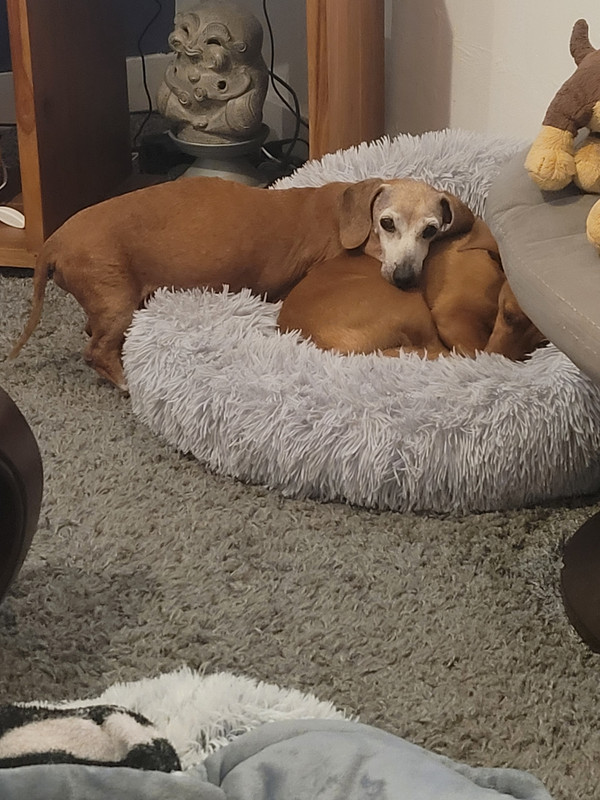 [Image: 20220206-202851.jpg]