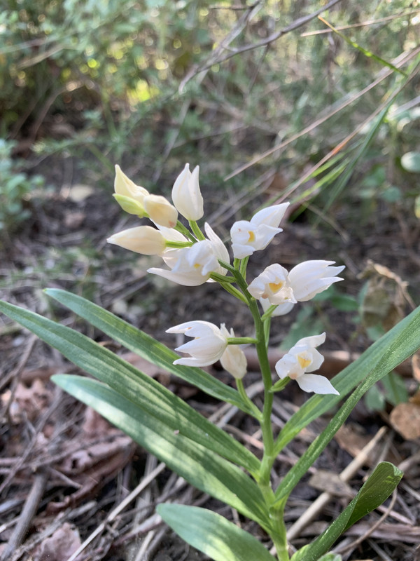 670901D9-FFDF-4170-9D47-2D9F04B7B258