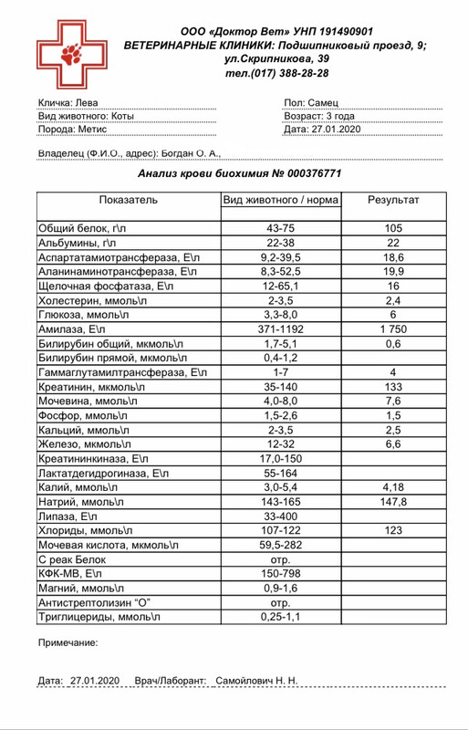 75F065E3-0CEB-4AD3-BADF-10104FBEE119