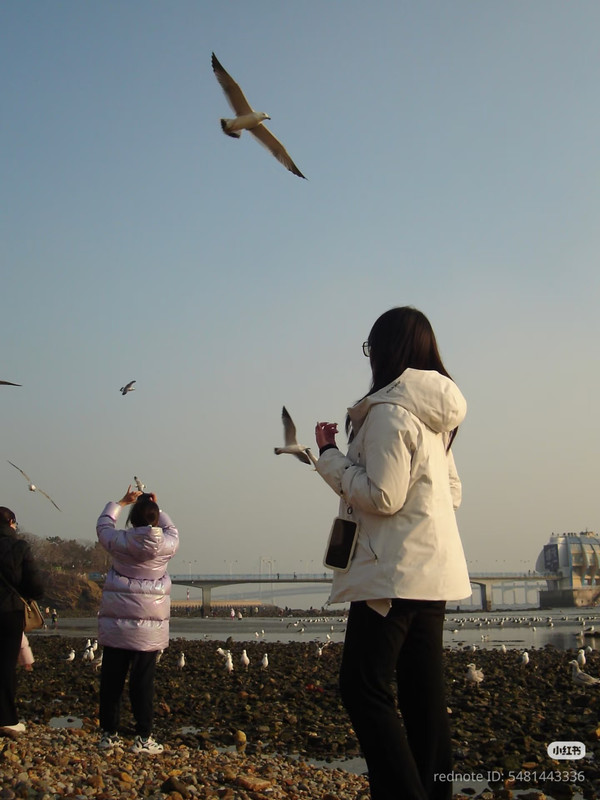 photo 12 2026 01 10 15 41 34