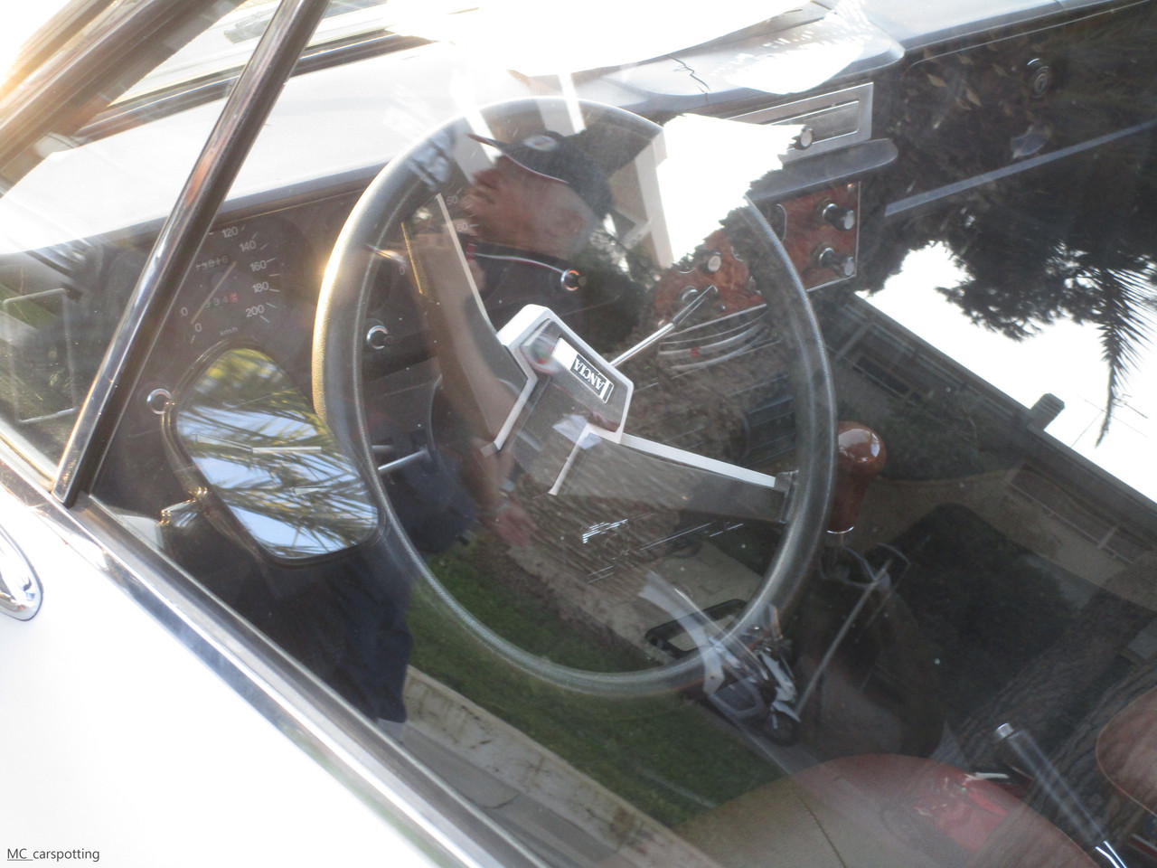 IMG-8964.jpg