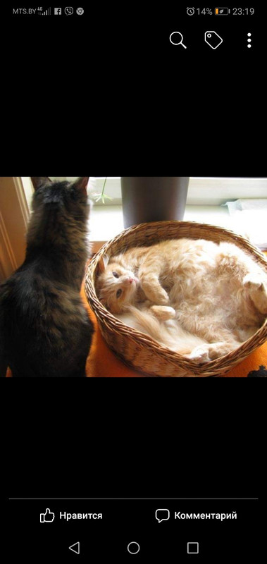 Сойер дома1