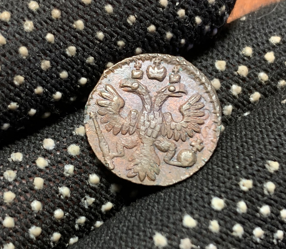 C51ADE06-F0CE-4F0F-95A3-F582A2749C65