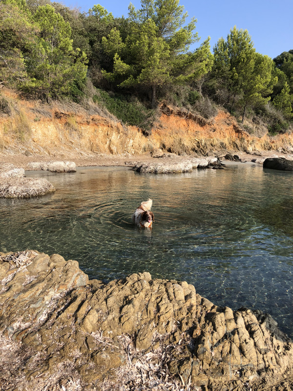 E0D74295-798A-40BF-B5DF-37106EAA3CFB