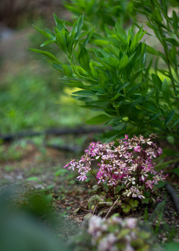 IMG-61d31113ed2ad3b40bb9e7bfdc942cea-V
