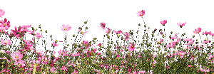 213