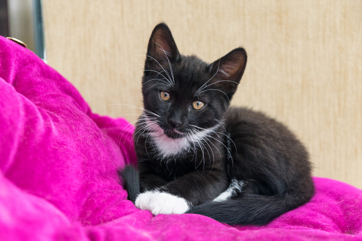 ?омка и Марго-30