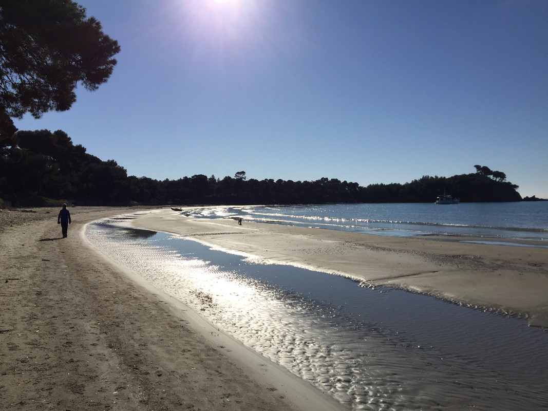 26903555-1E2E-4A56-8622-64023A037EB5