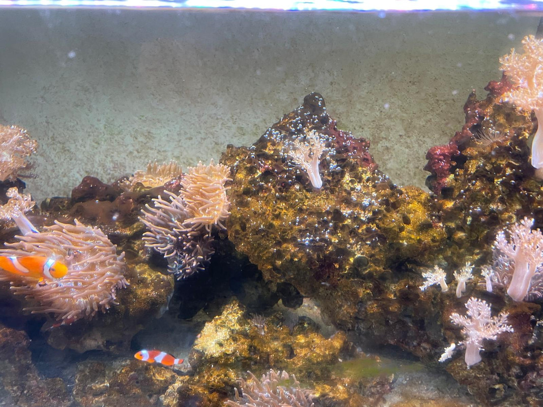 WhatsApp Image 2024-11-20 at 16.04.39 (2)