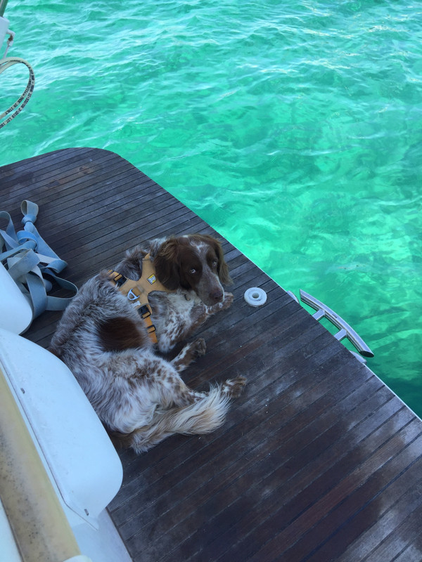 B5109C12-7559-40E9-9D97-60CEE7852D23