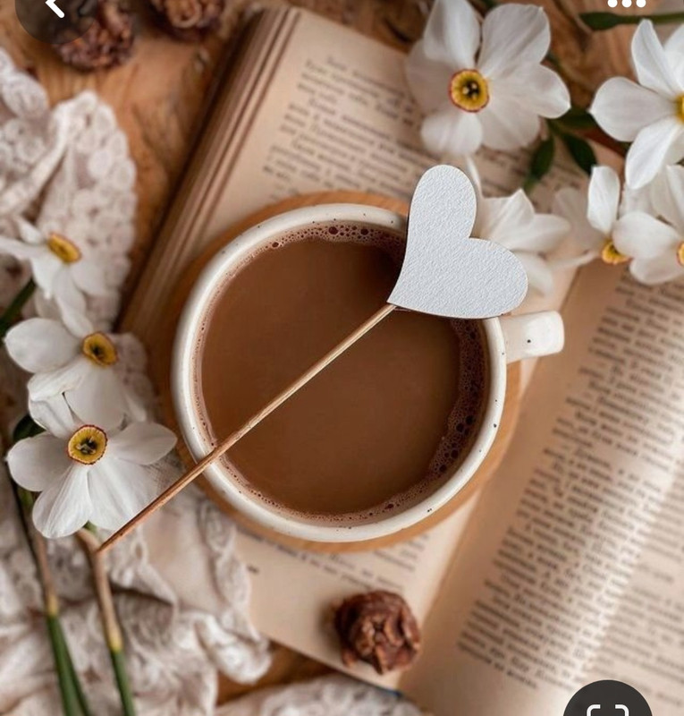 Screenshot_20240118_234032_Pinterest