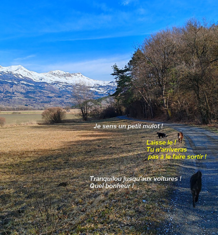 IMG 20260215 120914bb