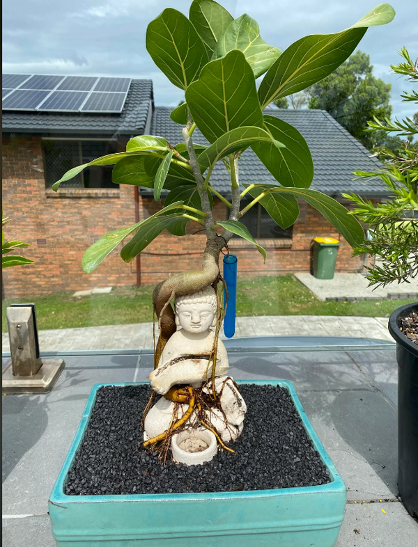 [Image: 2026-04-12-195427.png]