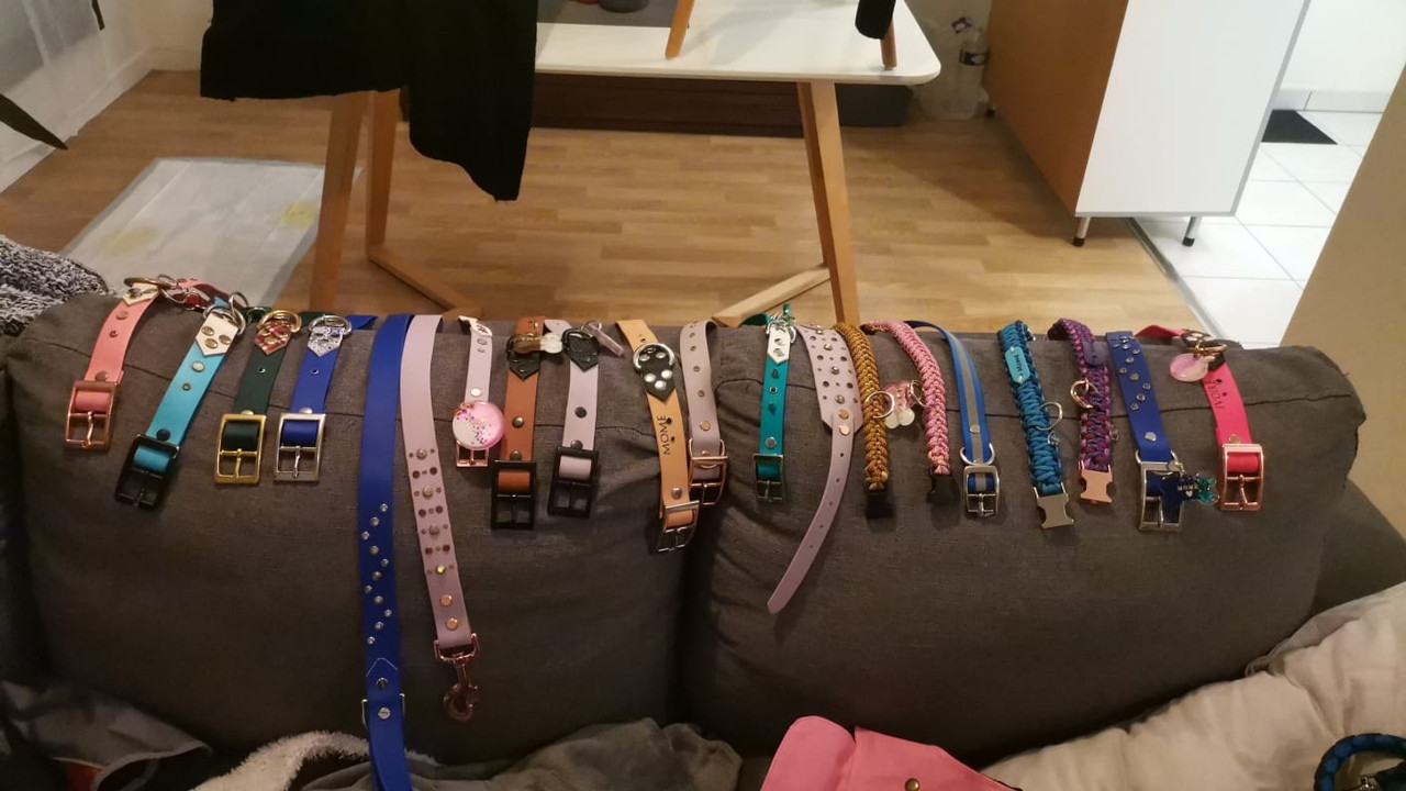 [Image: IMG-20240120-WA0015.jpg]