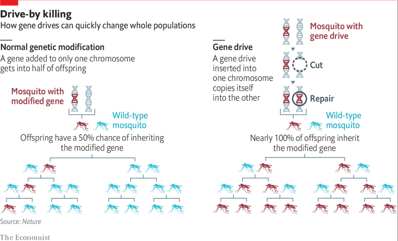 gene-drivee.png