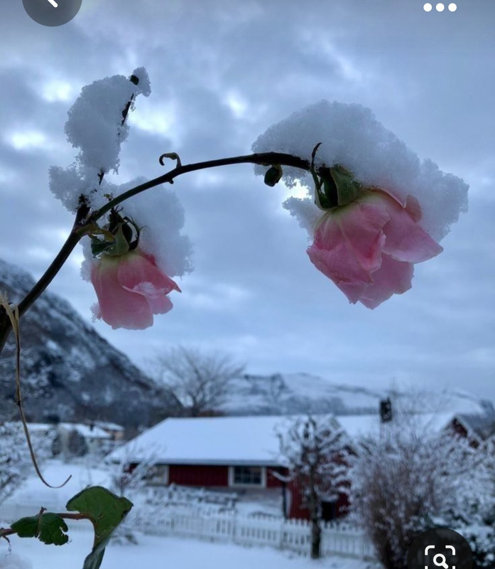 Screenshot_20231024_231653_Pinterest