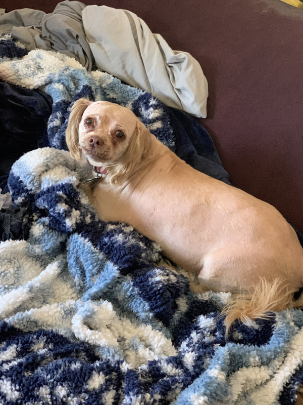 A6D0CA06-3DA1-458A-9391-54B11767EECA