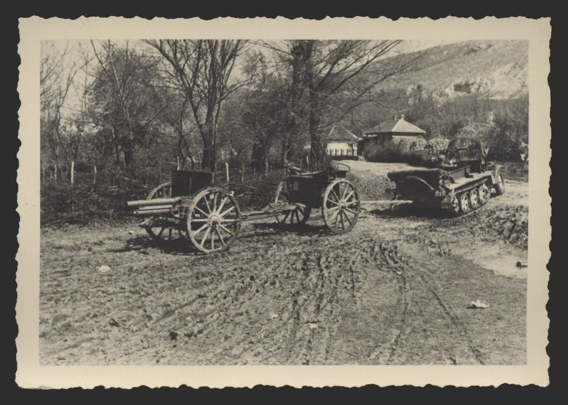 Foto, Halbkettenfahrzeug und Beute-Geschütz in P