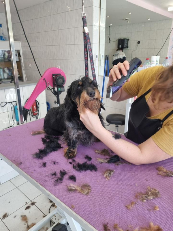 [Image: image000000-231.jpg]