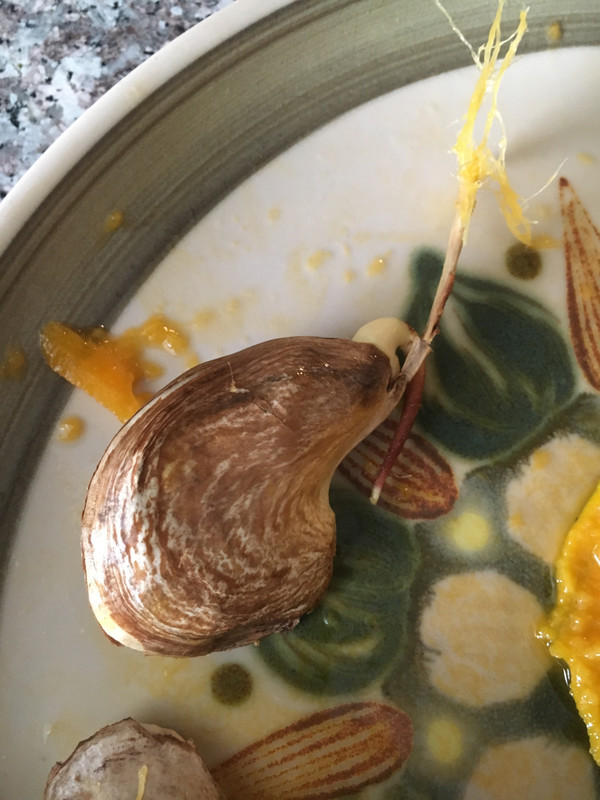 67E3463B-19F6-4A72-879D-391C810FF51F