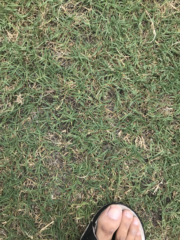 2B796236-B164-446B-9E13-78EEFC31B6BF