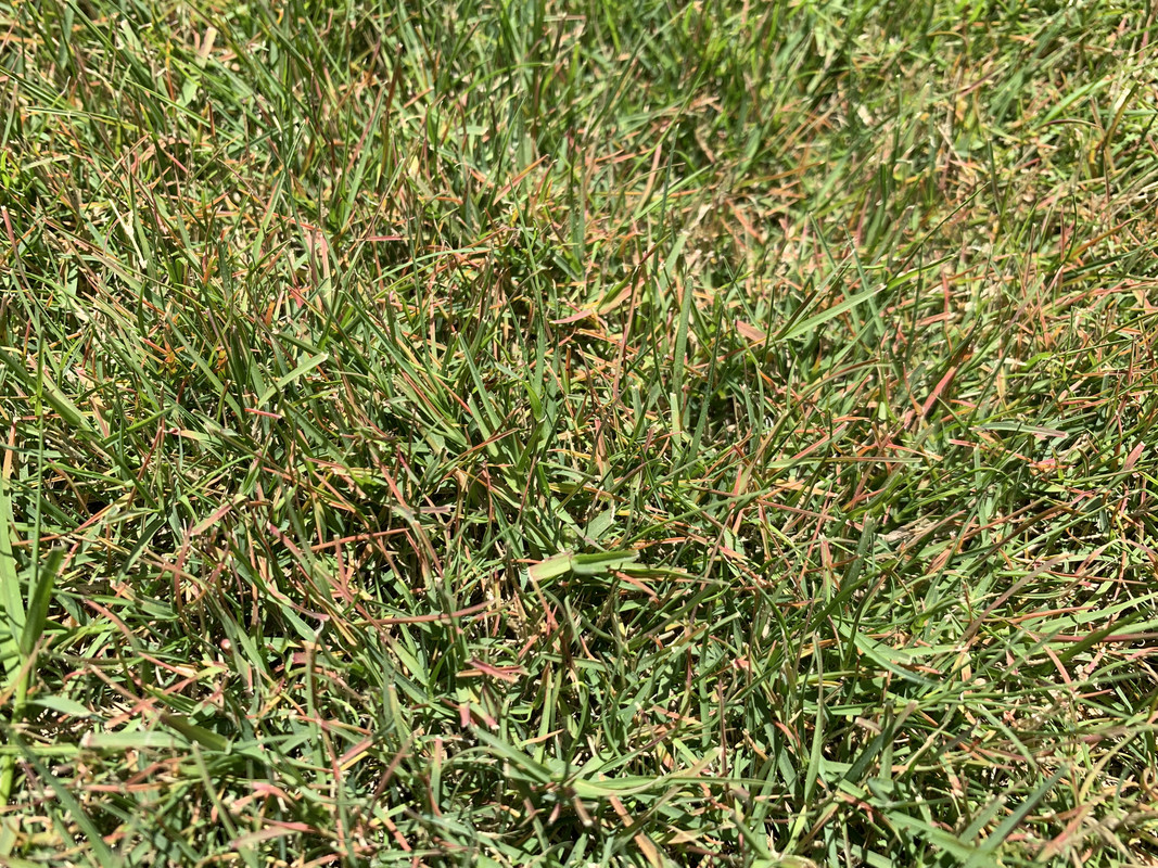 F5D0ECB1-A7F2-4F0A-8B8A-36B3BE97AB2D