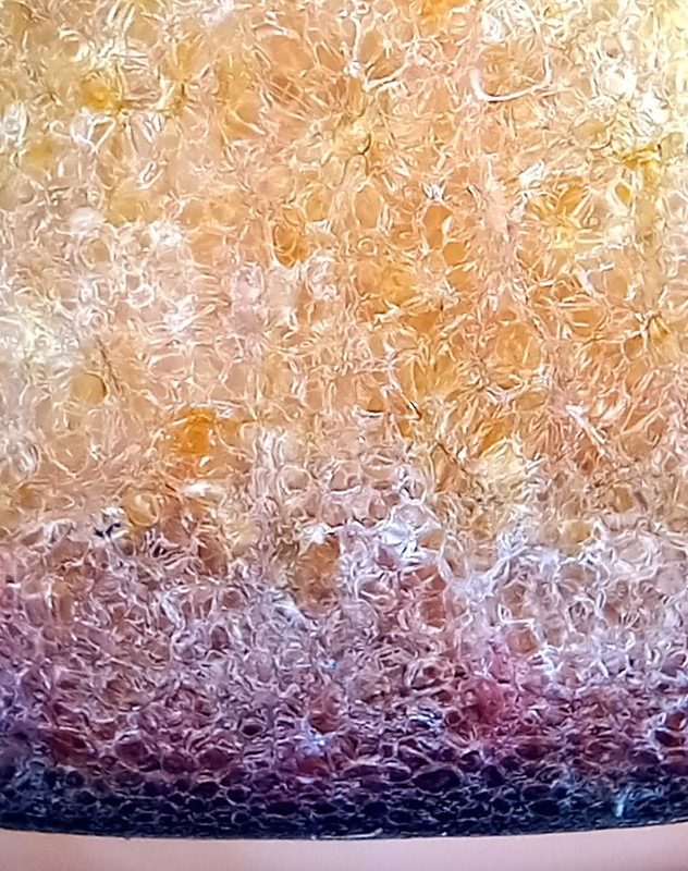20250219-192908