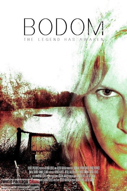 Bodom (2016) PL.WEB-DL.XViD-OzW / Lektor PL