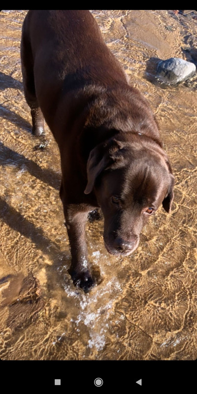 Screenshot_2021-01-16-19-55-57-558_com.instagram.android