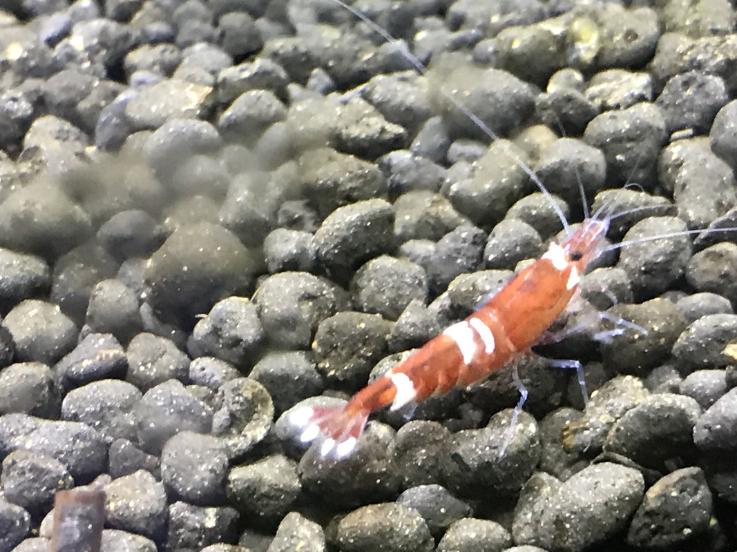 FBFC0F70-7570-4949-8F9C-538B294B36E1