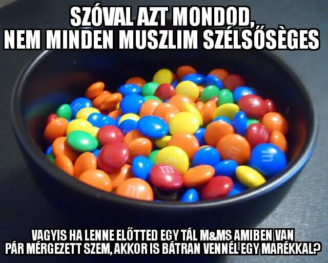 muszlim1.jpg