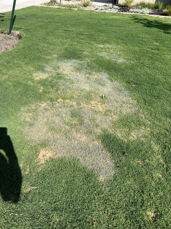 1D126546-D8B7-412D-811E-703D6120E902